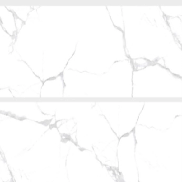 Aster Grey 