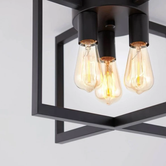 3-Light Flush Mount Ceiling Light 